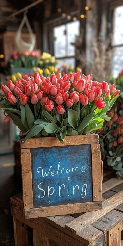 Spring Wellness Tips